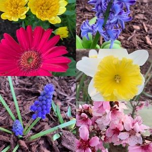 Meet your Posher, Kara